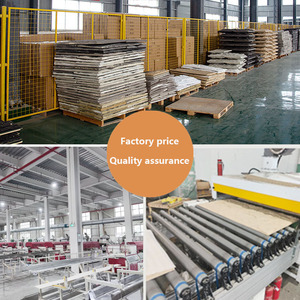 Đá mềm trang trí Bảng điều khiển bên ngoài tường gạch Frosted Granite Đá Da đá nền tường - Product Image 4