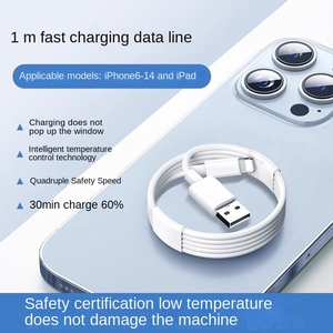 <strong>For</strong> iPhone <strong>for</strong> <strong>Data</strong> <strong>Line</strong> Wholesale 1 Meter PD Fast Charging Cable 20W/27W/30W TPE Material Made in China - Product Image 5