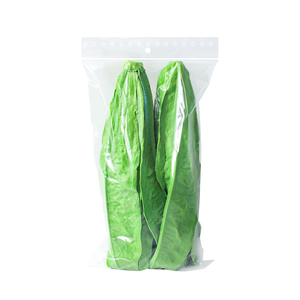 Custom Printed Logo Design LDPE/HDPE Handle Plastic <strong>Bag</strong> Die Cut <strong>Bag</strong> for Garment