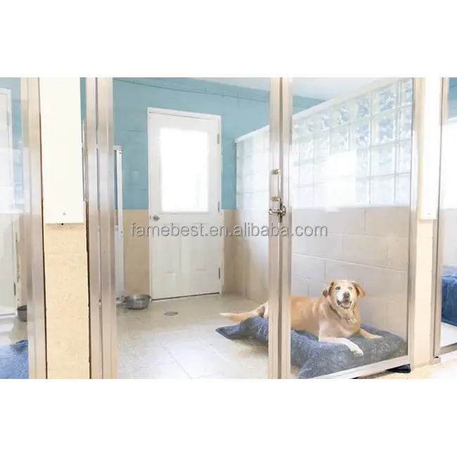 Einfache Reinigung Indoor Plain Front gehärtete Glastür Edelstahl Walk in Hundehütte