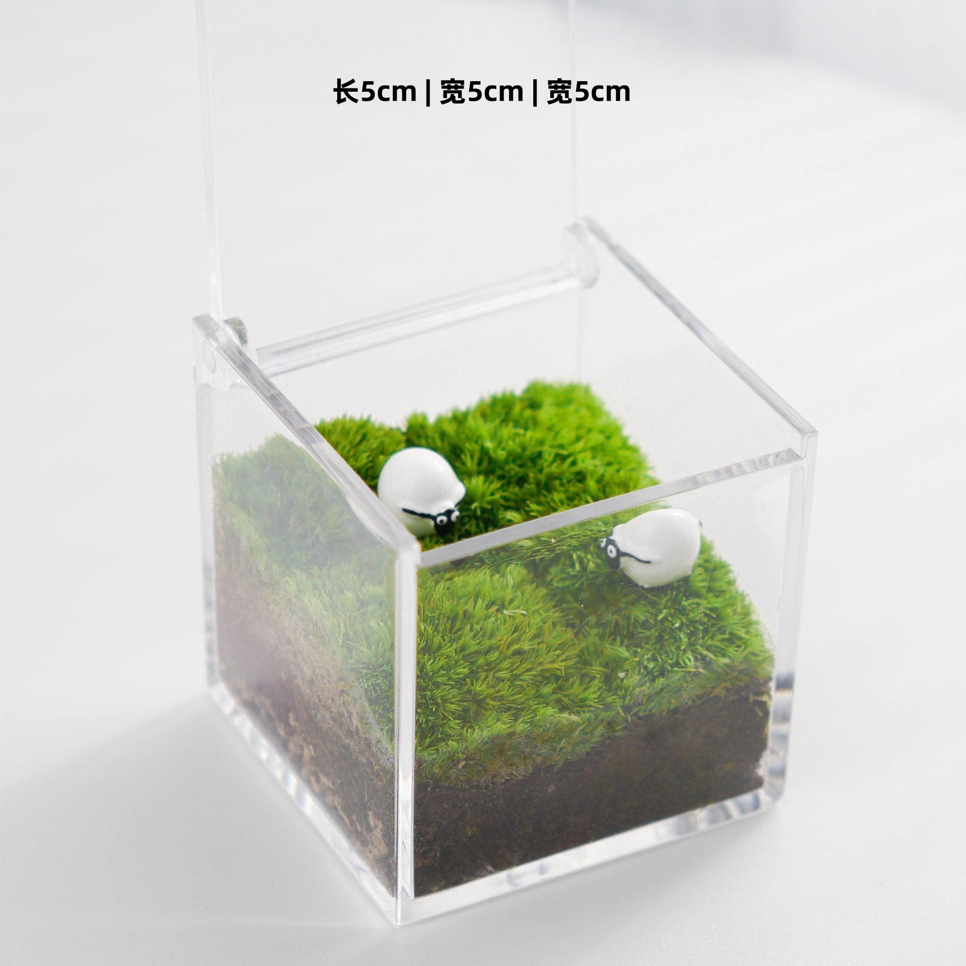Standard version (two sheep, 5x5x5cm)