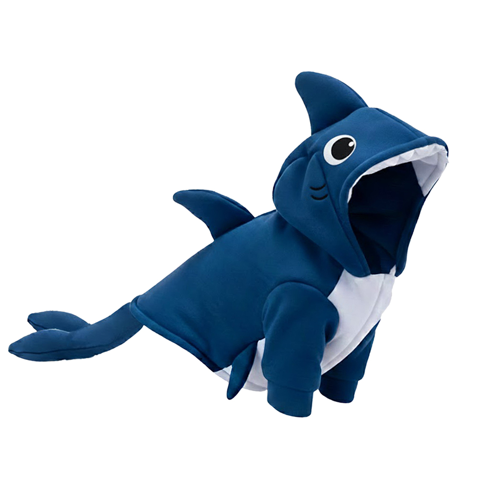 Dauphin bleu océan
