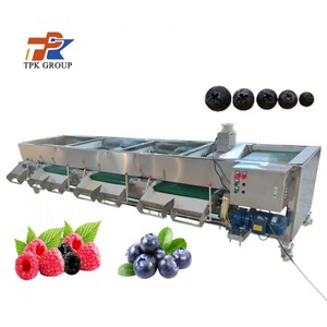 Automatic Fruit <strong>Classifier</strong> Machine Fresh Blueberry Sorting Machine Blueberry Grading Sorting Machine - Product Image 1
