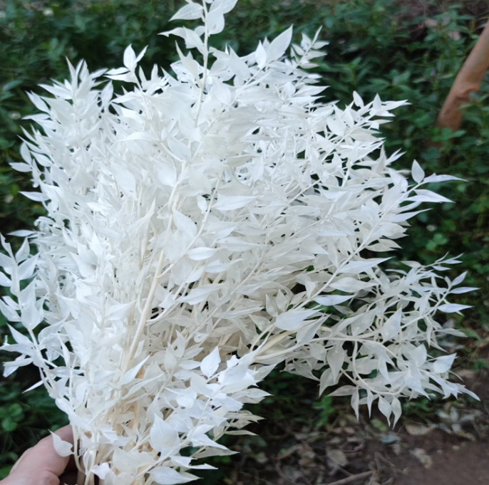 Riches and honour leaf