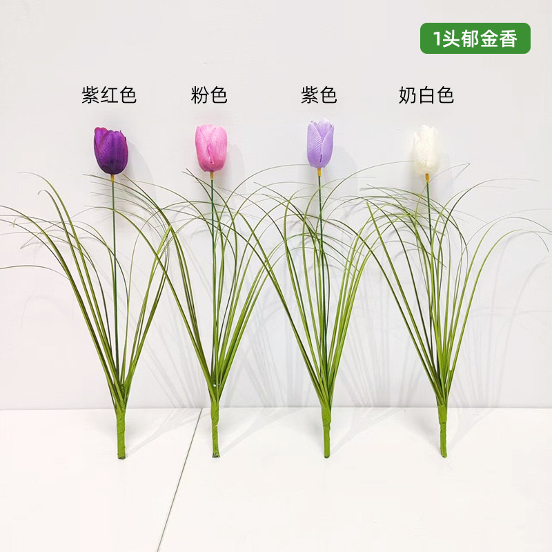 Tulipano a stelo singolo - rosso porpora