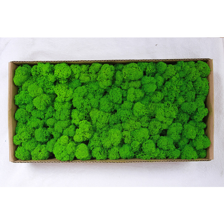 Vert