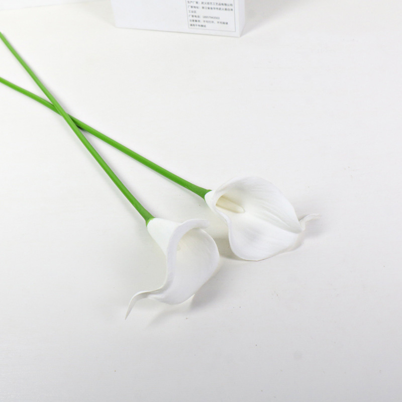 Blanco puro (núcleo blanco)