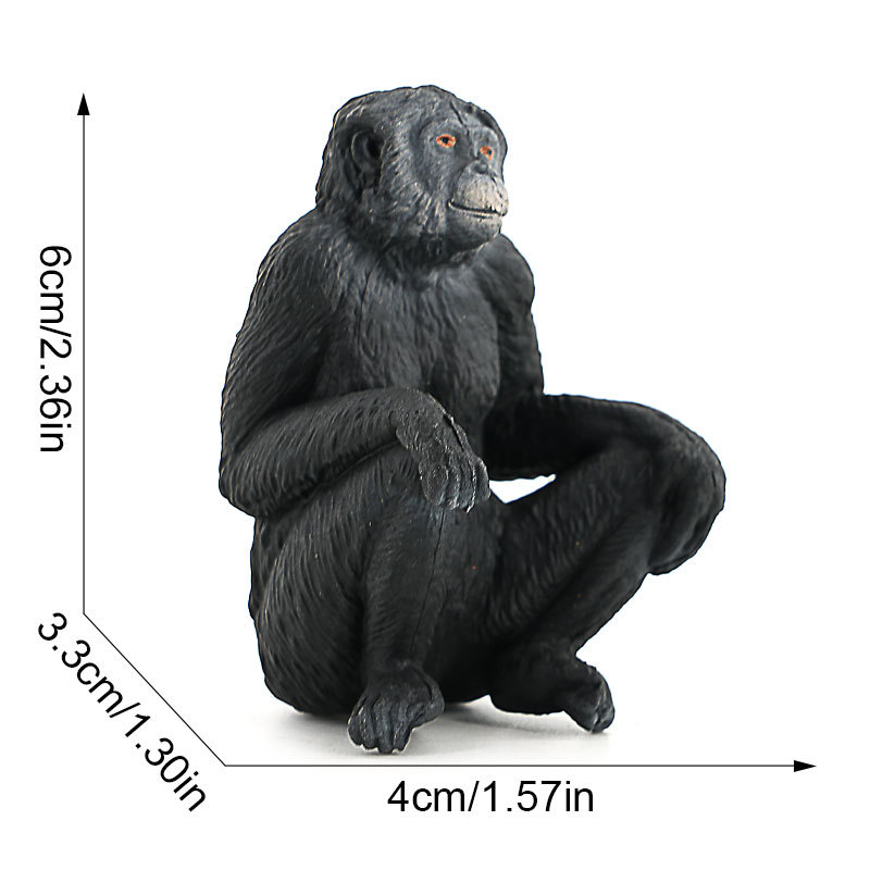 3666 bonobo femmine - 333g