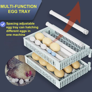 2025ミニスマート自動卵インキュベーターマシン養鶏場養鶏場用新デザインABS素材家庭用 - Product Image 4