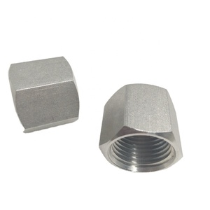 Stainless Steel Hex <strong>End</strong> <strong>Cap</strong> <strong>1</strong>/4&quot; NPT Female Threaded <strong>End</strong> <strong>Cap</strong> - Product Image 1
