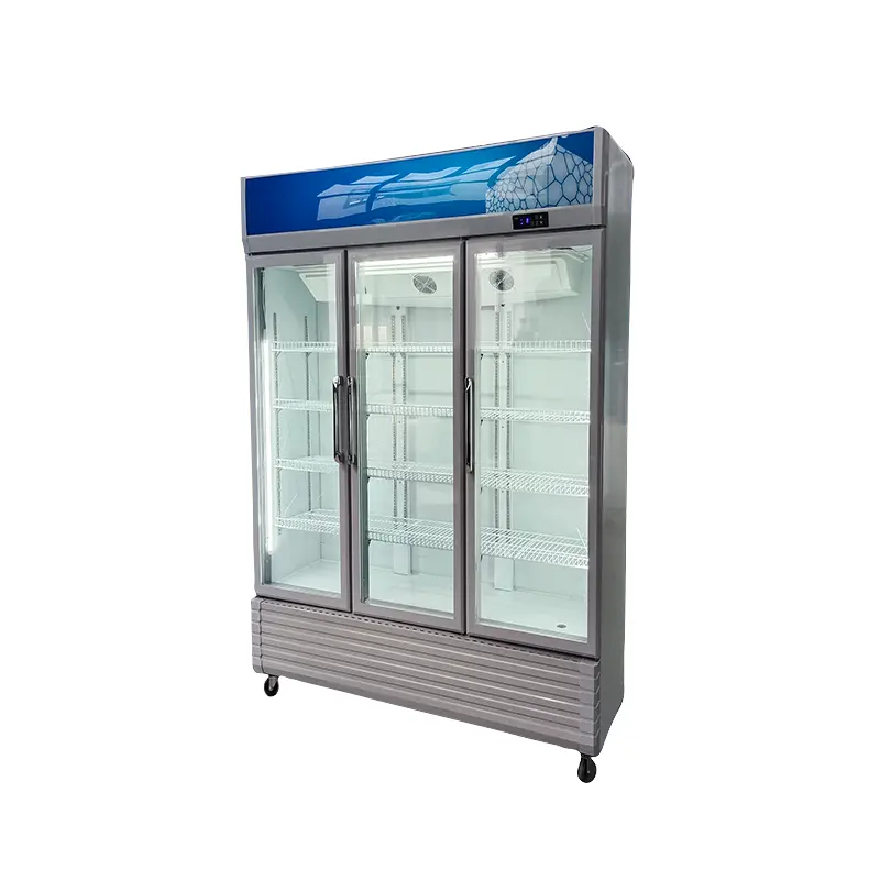 Exibição de porta de vidro freezer bebidas refrigerador de ar exibição frigorífico