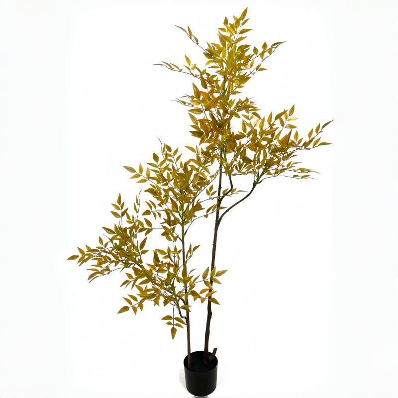 Nuevo nantianzhu amarillo-150cm