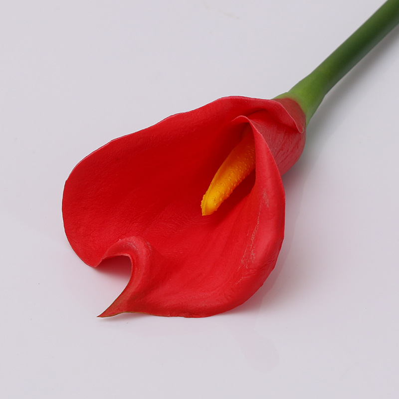 Rojo
