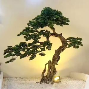 Simülasyon karşılama çam ağacı kapalı manzara yeni çin tarzı dekorasyon simülasyon ağacı - Product Image 6
