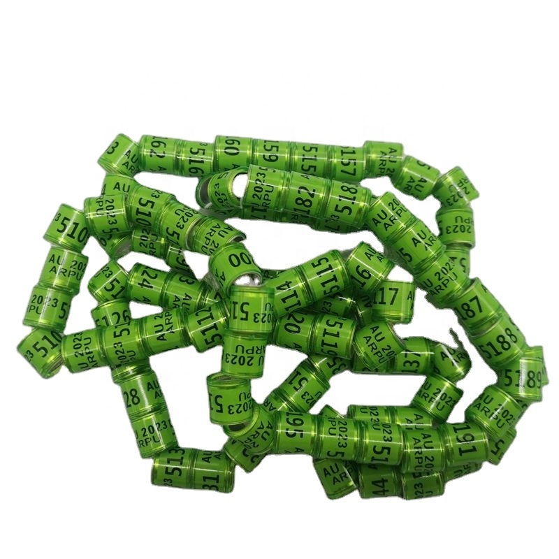 Vert