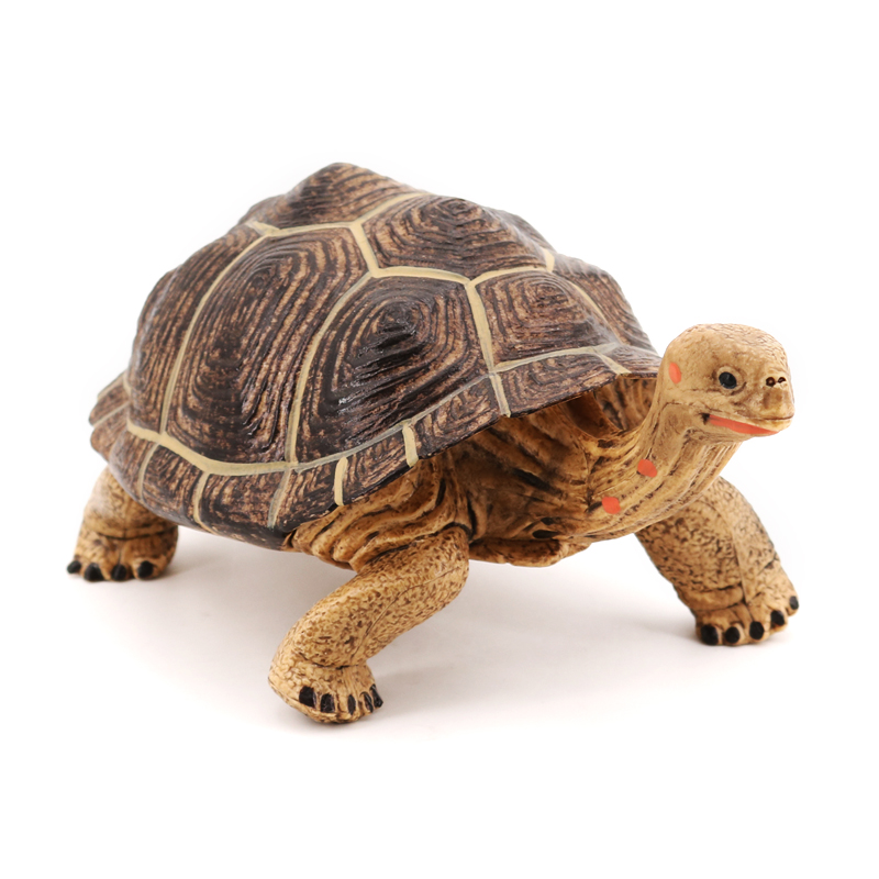 1312 Tortuga gigante de las Galápagos