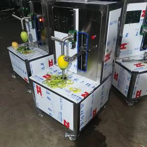 工业小型芒果去皮机加工生产线工厂设备