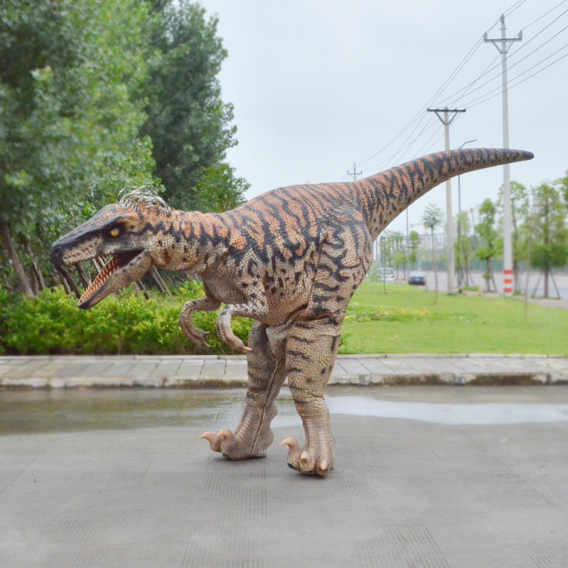 raptor