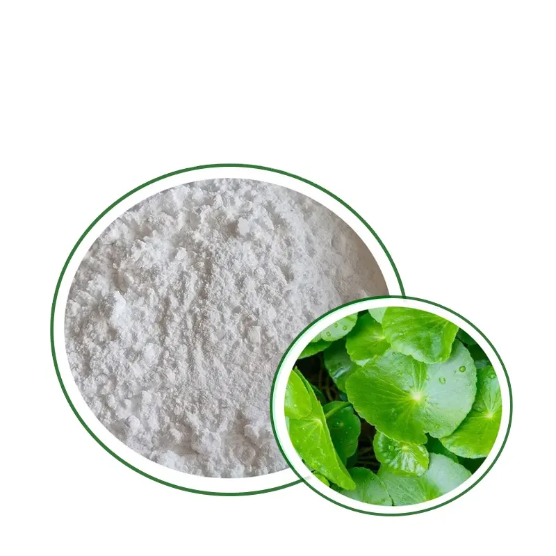 Healthife 10% Asiaticoside Gotu Kola Centella Asiatica Extract