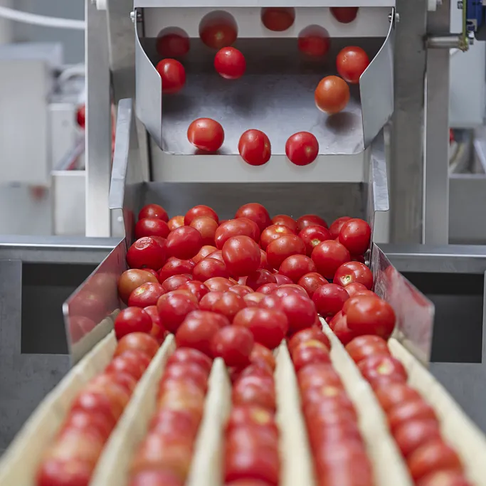 LWT Full Automatic Tin Can salsa di pomodoro pasta Ketchup riempitrice linea di produzione di concentrato di pomodoro