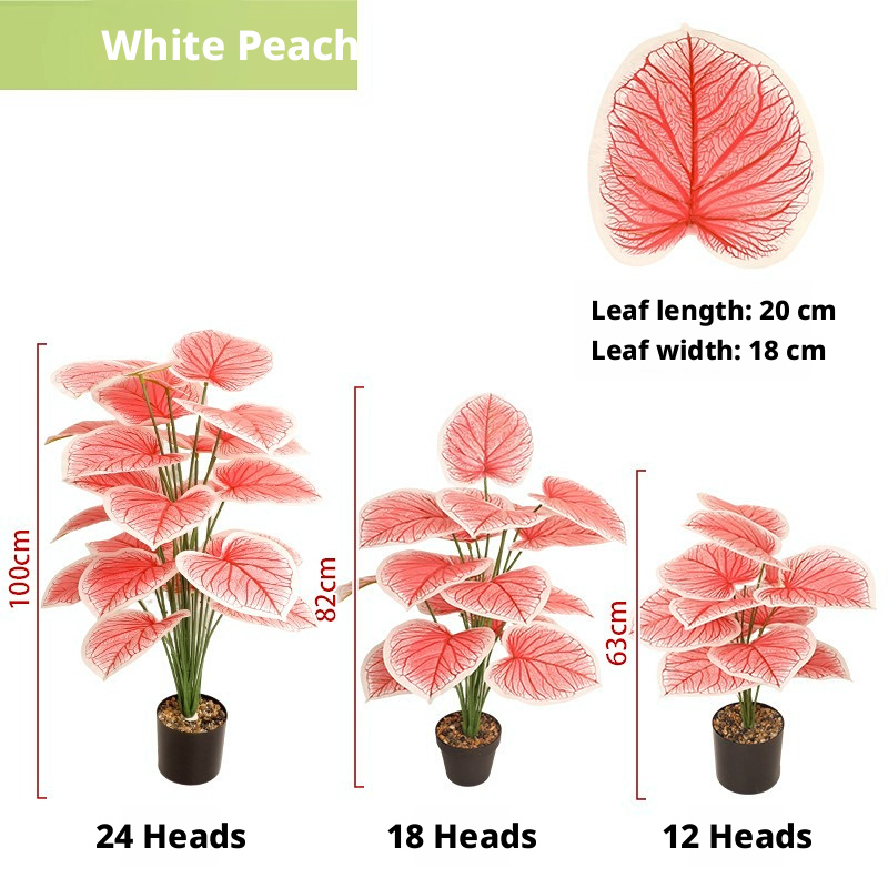 White Peach