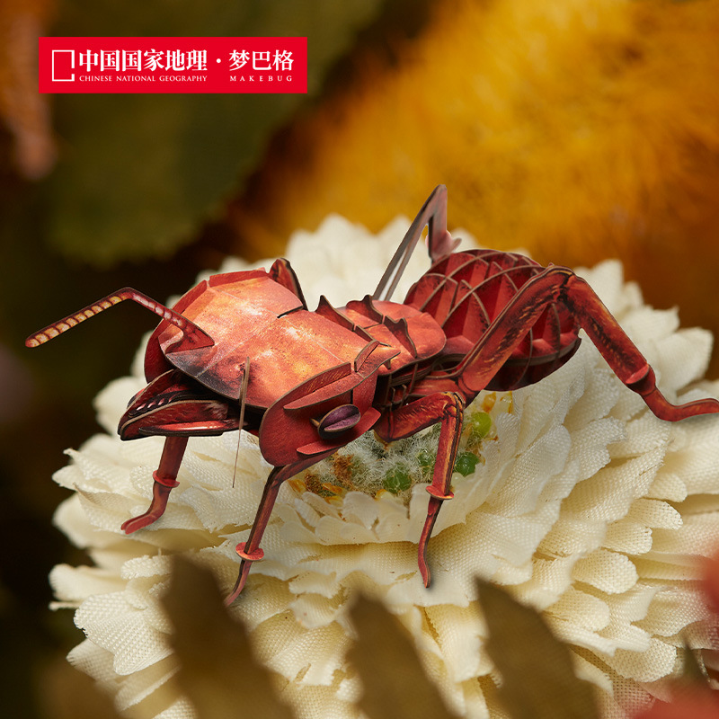 Big head leaf cutting ant-sl-insectb0005