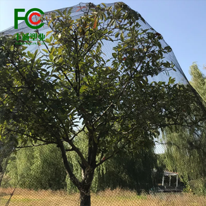 Resistente UV PE <span class=keywords><strong>Net</strong></span> per gli uccelli e <span class=keywords><strong>Anti</strong></span> uccello netto per la caccia agli uccelli con rete di plastica di pollo per uso agricolo