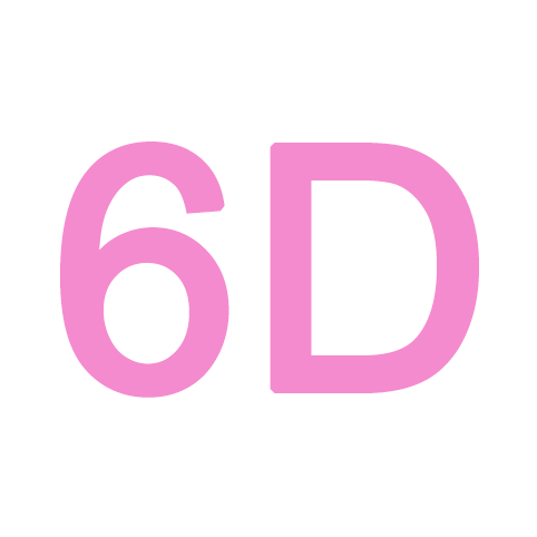6D