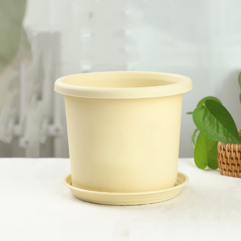 plateau beige