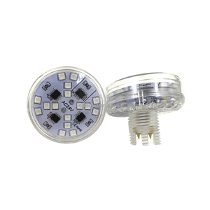 Prezzo di fabbrica nuovo Design Cabochon Led 48mm AC24v RGB preprogrammato luci di divertimento Pixel per ruote panoramiche - Product Image 1