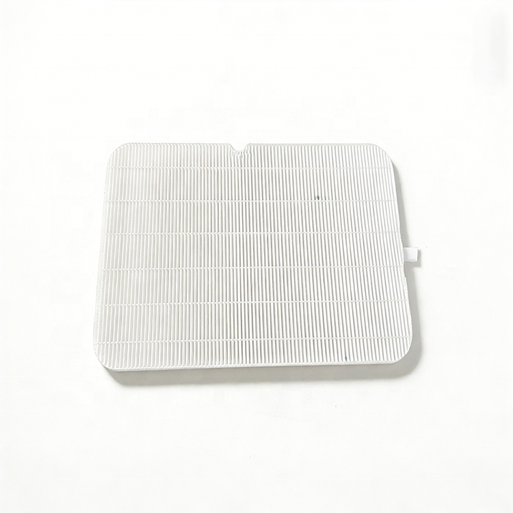 Maille filtrante (2 pièces)