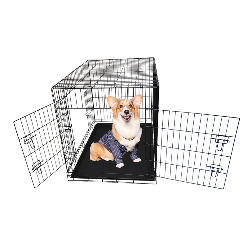 Cage pour chien pliable en acier inoxydable, haute qualité, directement à l'usine