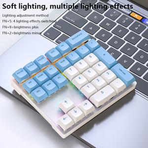 33-Key RGB Mechanical <strong>Numeric</strong> <strong>Keyboard</strong> <strong>with</strong> Blue &amp; Red Axis Dedicated External USB Interface for One-Handed Financial Accounting - Product Image 3