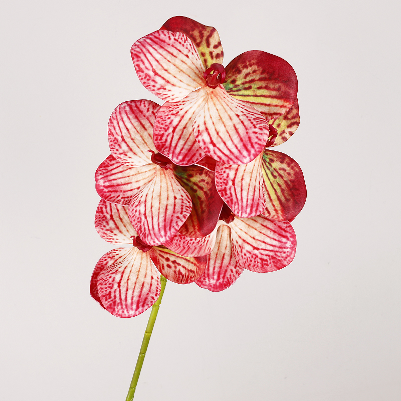 สีแดงอ่อน