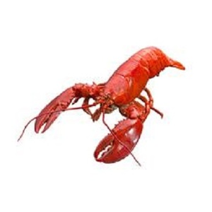 Textured Three Side Sealing Barrier Soft Vacuum Bags for Packing <strong>Alaskan</strong> and Russian King Crabs - Product Image 2