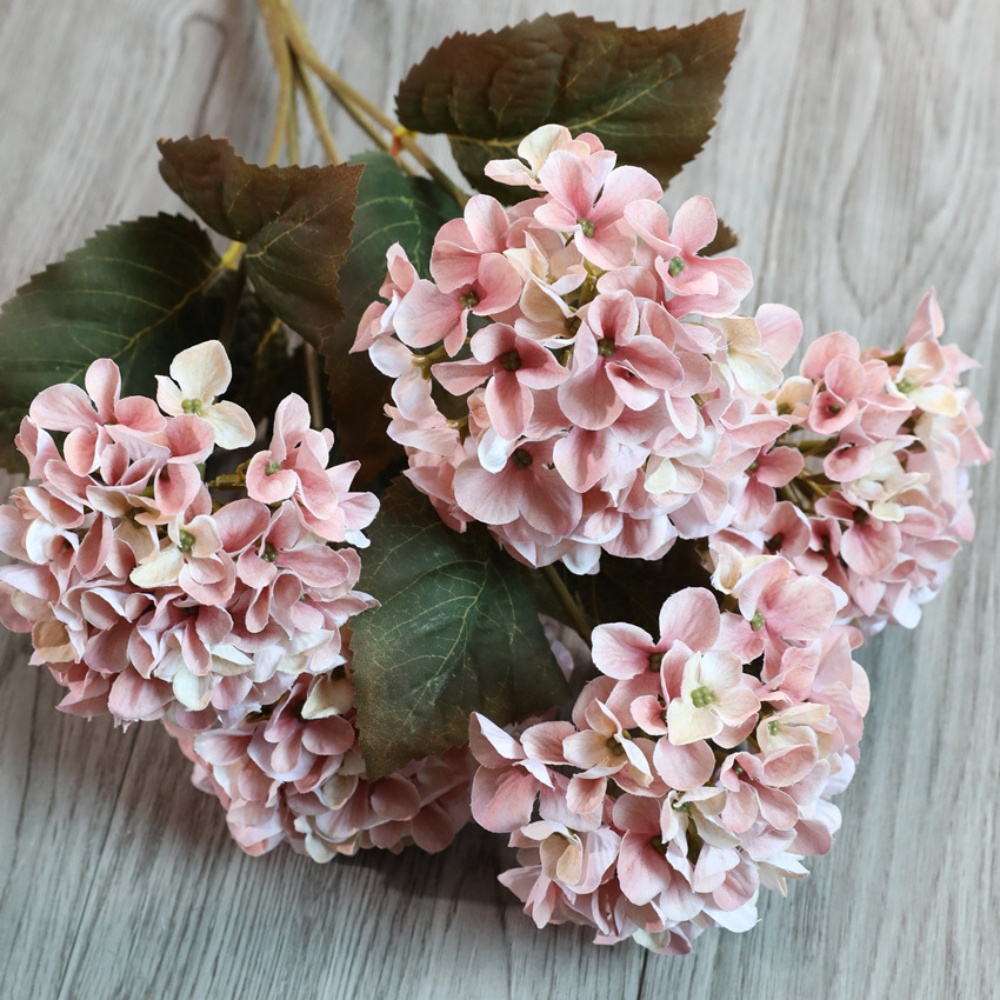 14# Rose d'automne