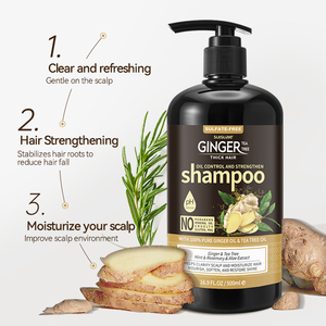 Private Label Gezonde Natuurlijke Biologische Haarverzorging Olie Controle Anti Verlies Hergroei Theeboom Gember Haargroei Shampoo Set - Product Image 4