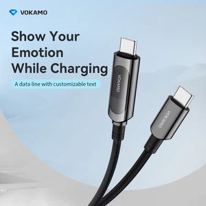 独特的DIY设计快速充电屏幕系列Type-C至Type-C 100W电缆1.2M USB C至C LED电缆 - Product Image 6