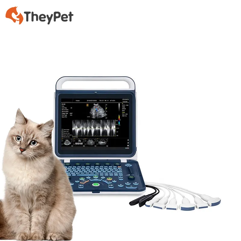 Veterinair Instrument Kleur Doppler Echografie Hoge Kwaliteit Diagnostisch Hulpmiddel Voor Dierenverzorging