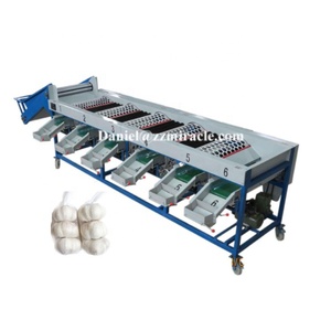 Máquina clasificadora rotativa de tambor automático, máquina clasificadora de clasificación de tamaño de ajo, máquina clasificadora de tamaño de ajo
