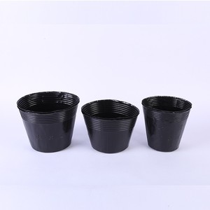 植物营养苗圃盆软透明塑料种植容器杯播种机起子苗木起子托盘