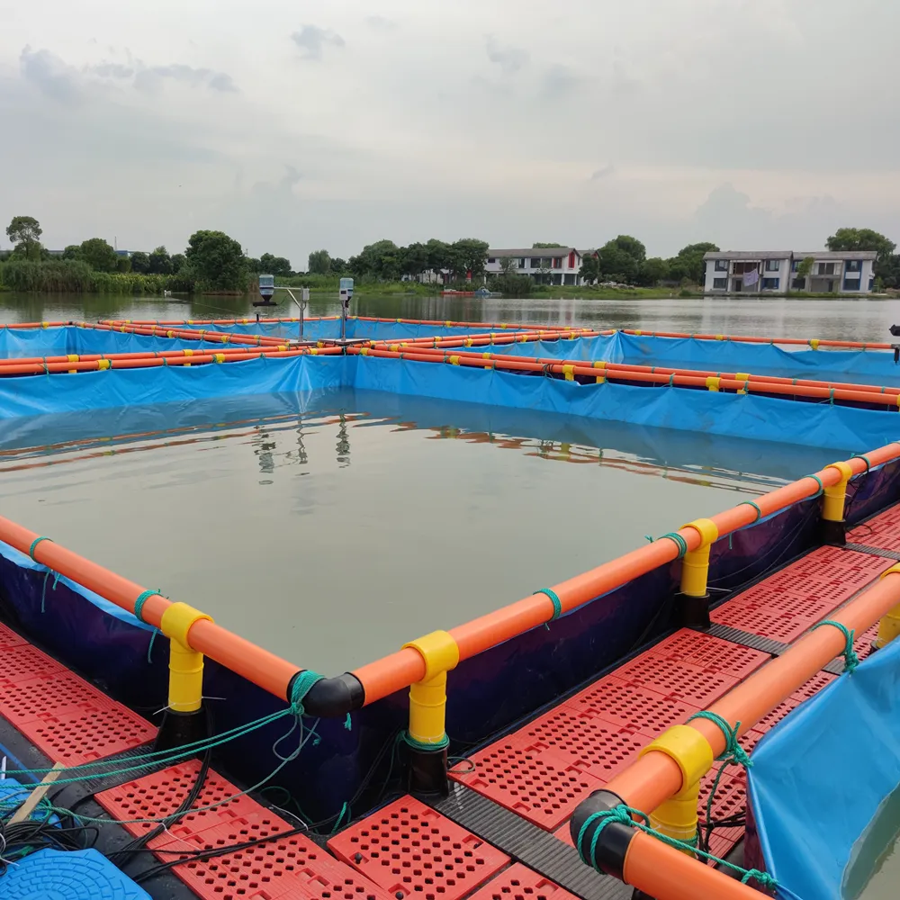 Cages d'aquaculture carrées pour aquaculture Filet flottant pour poisson-chat Tilapia