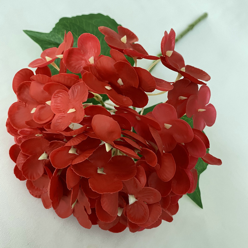 Rojo grande