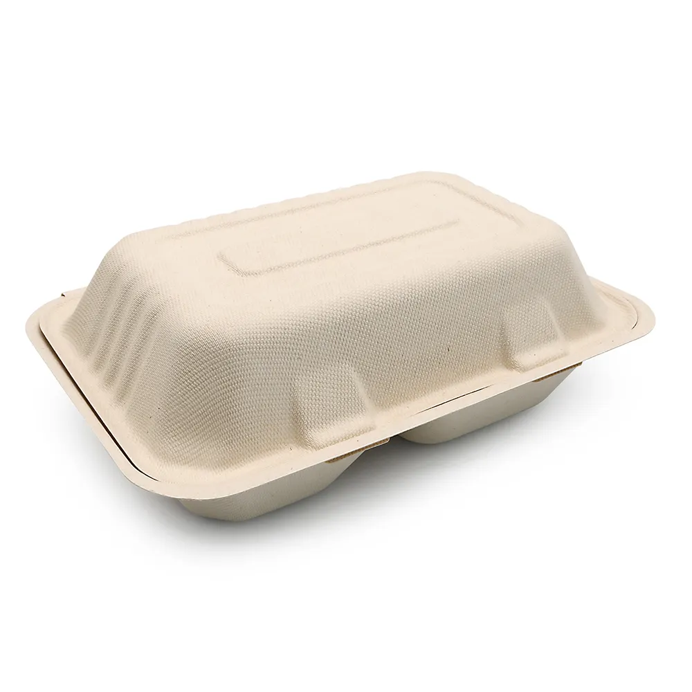 Customizable 900ml 9" 2 Compartment Leakproof Bagasse Made Composite Biodegradable Disposable Food Packaging Boxes Takeaway Eco