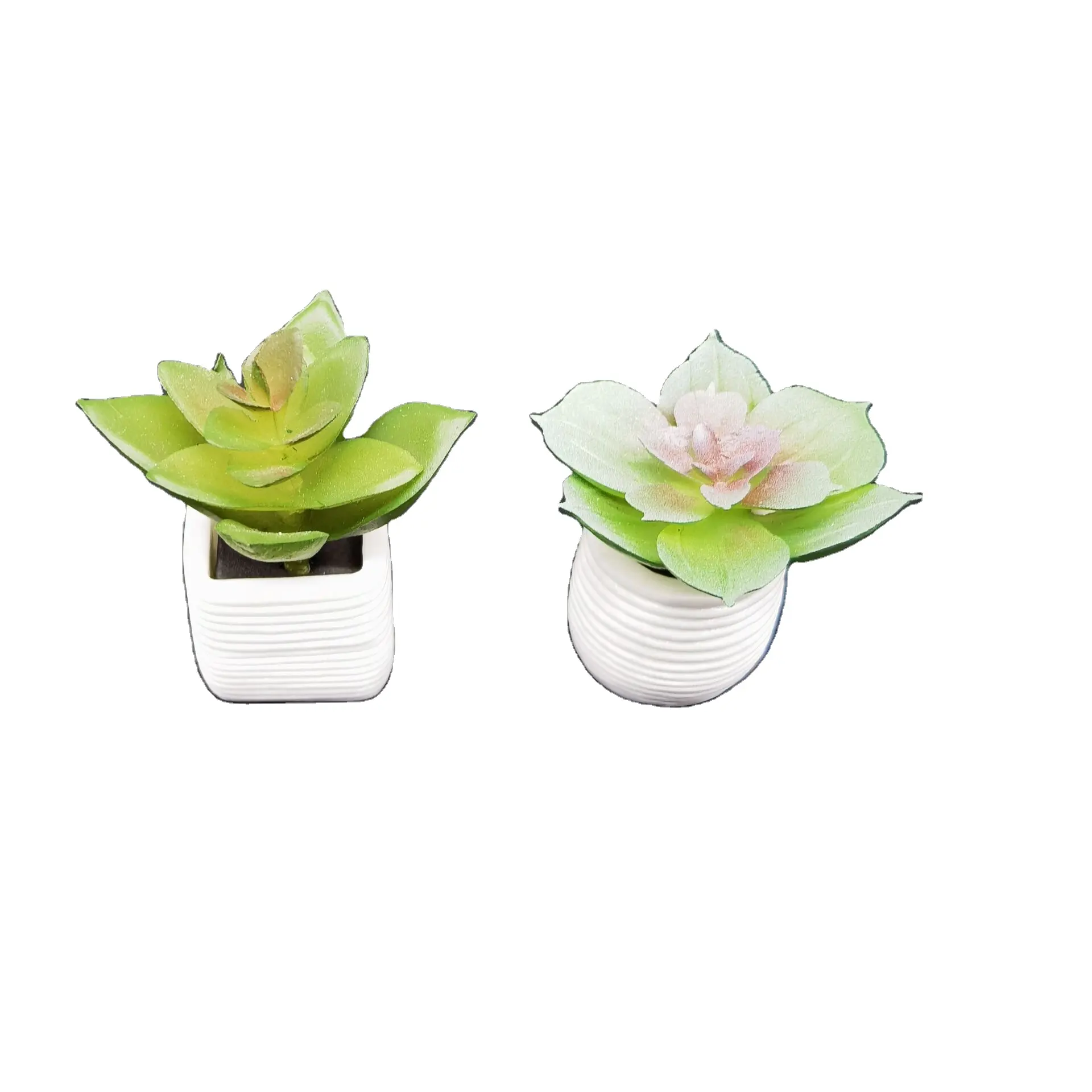 Vaso di fiori succulenti Best Welcome Fashion magnete personalizzato frigorifero magnete frigo carino magnete frigo in resina 3d