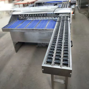 Piccolo Sizer elettrico Authomatic grado di classificazione del peso pulito livellatore uovo smistamento peso macchina stampa - Product Image 4