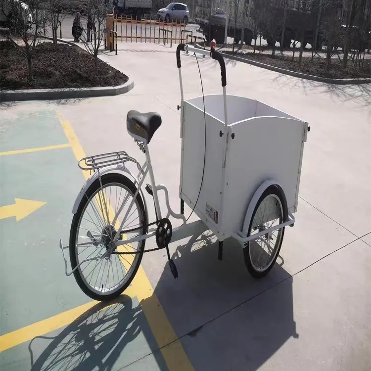 Europa popolare Cargo Bike 3 ruote triciclo elettrico Bakfiets con carrello E trike elettrico cargobike triciclo elettrico urbano