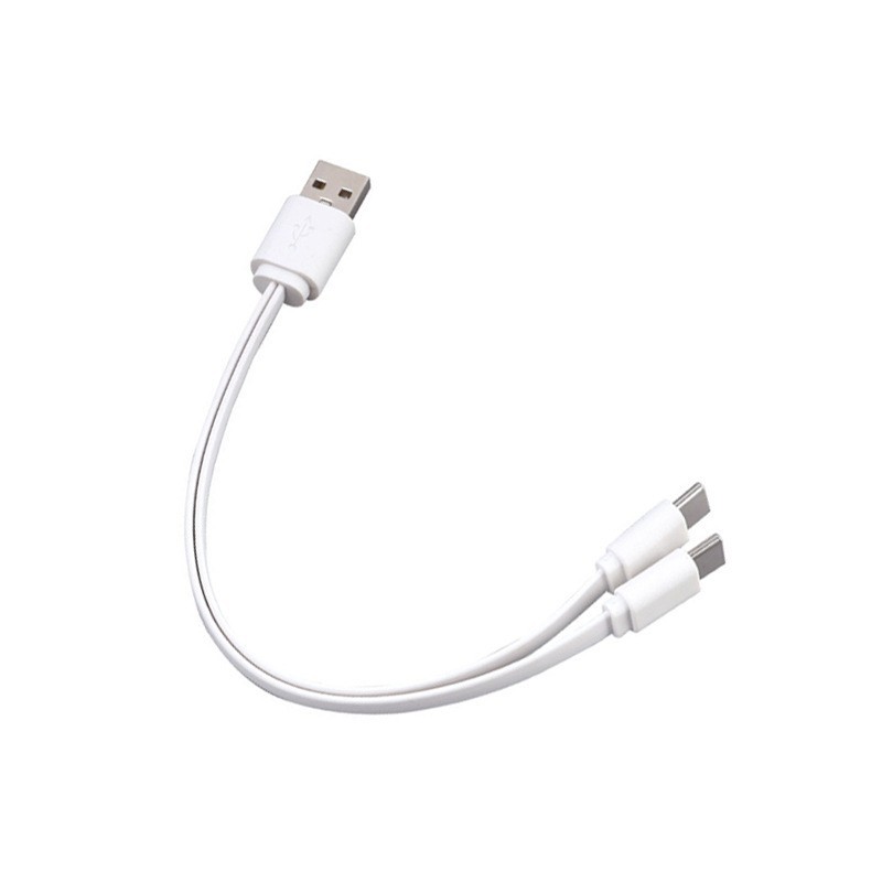 USB blanc vers 2xC