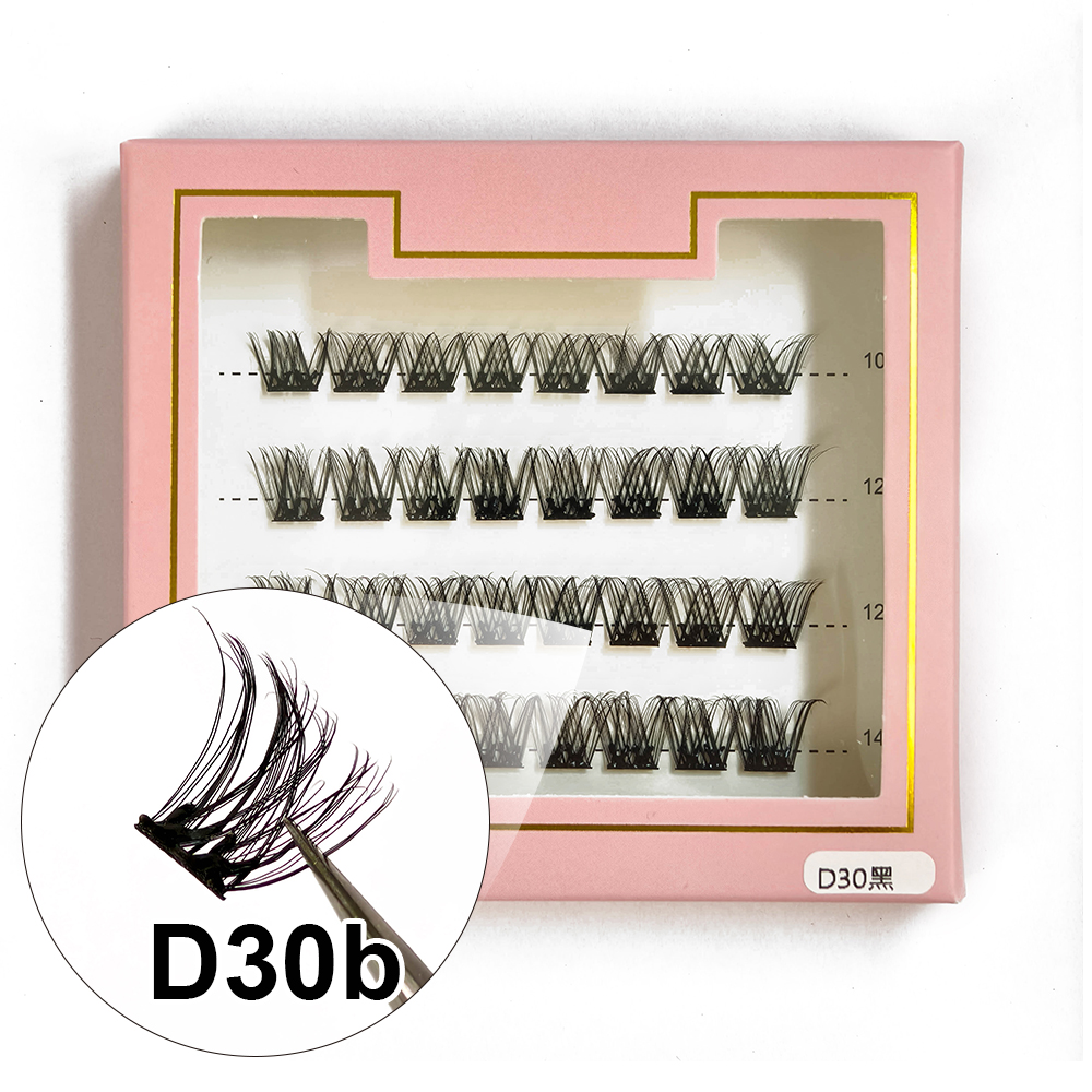 D30B