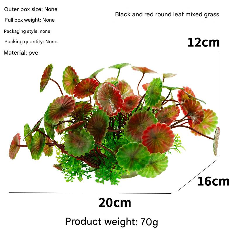 Black and red round-leaf mixed grass (12cm)
